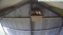 Barn Owls on the nest box
